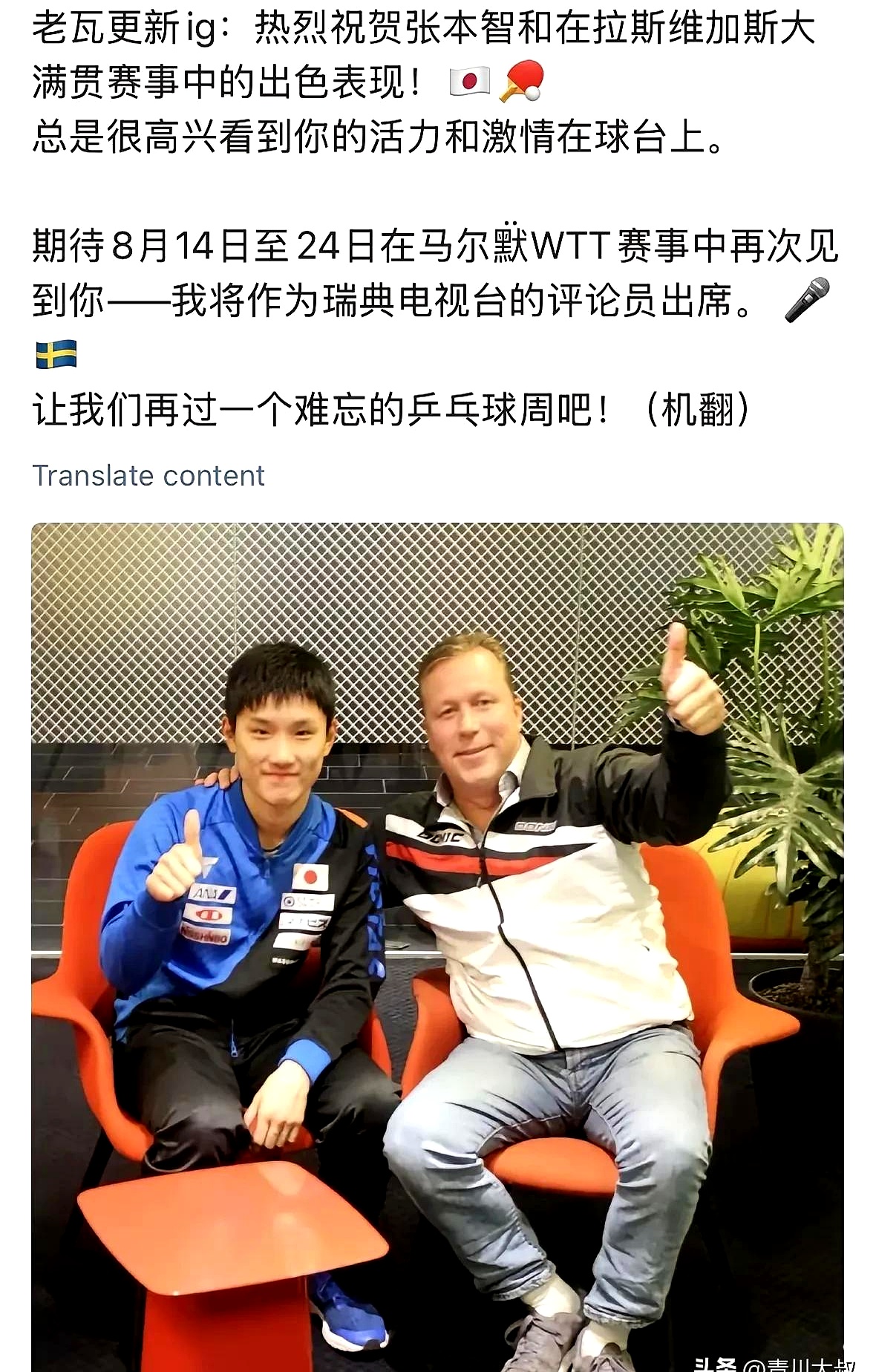 法国乒乓球队横扫比利时乒乓球队，王皓三分雨点燃全场的简单介绍