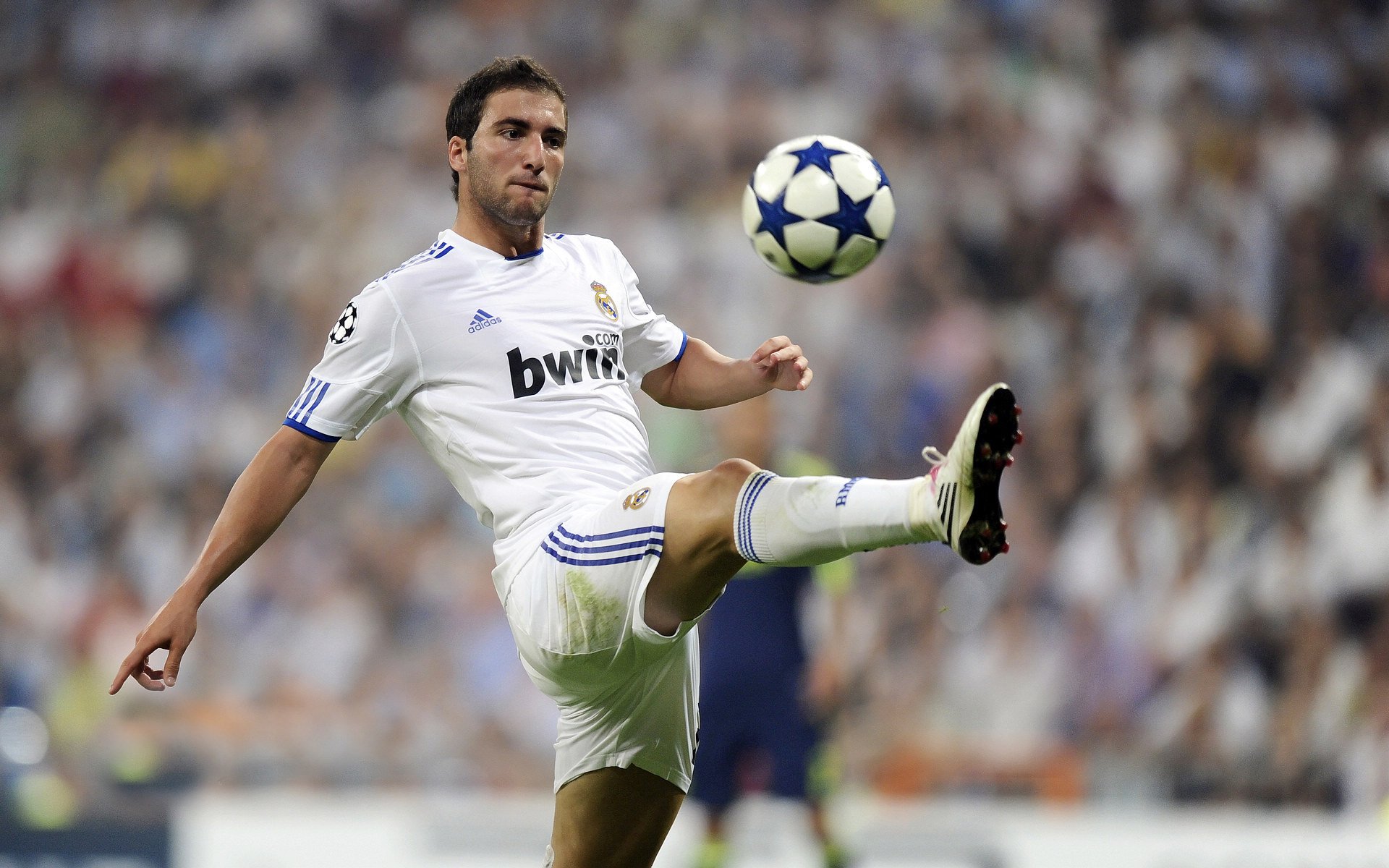 东决关键战焦点战,加纳制霸葡萄牙—当绿茵场上的黑星照亮欧洲豪门